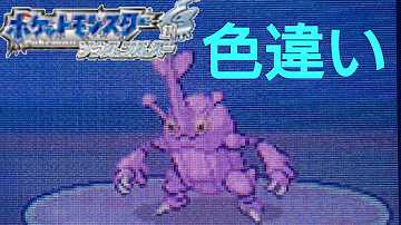 ヘラクロス色違い