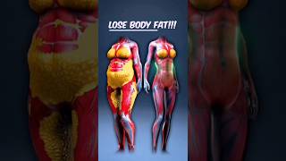 “Lose Belly Fat Fast at Home ( No Equipment ) | "Beginner workout" #fatloss #shorts