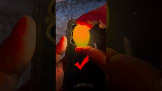 कबूतर के अंडे चेक कर रहे है 🐣 #bird #egg #youtube #pigeon #kabutar #eggs #eggworks #birdsegg