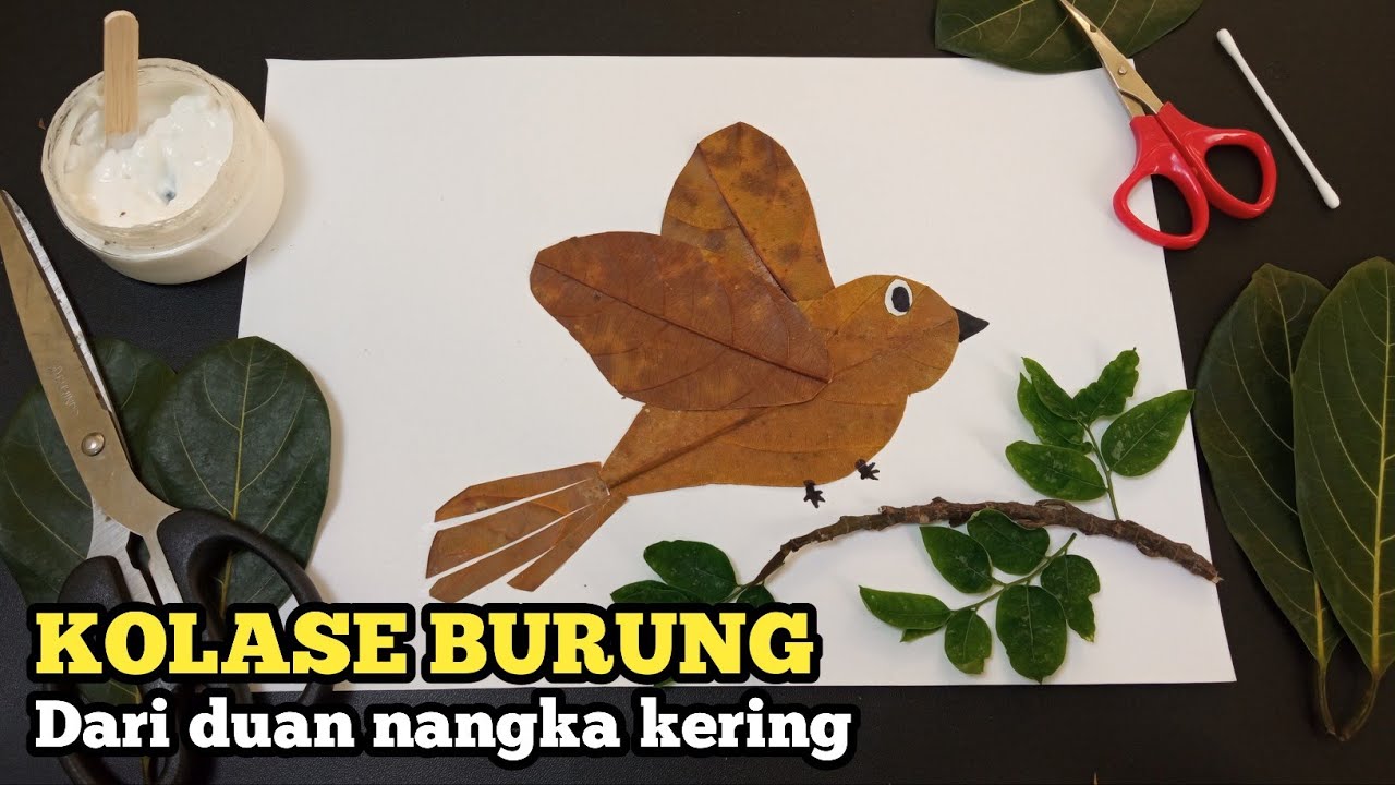 550 Gambar Burung Dari Daun HD Terbaik