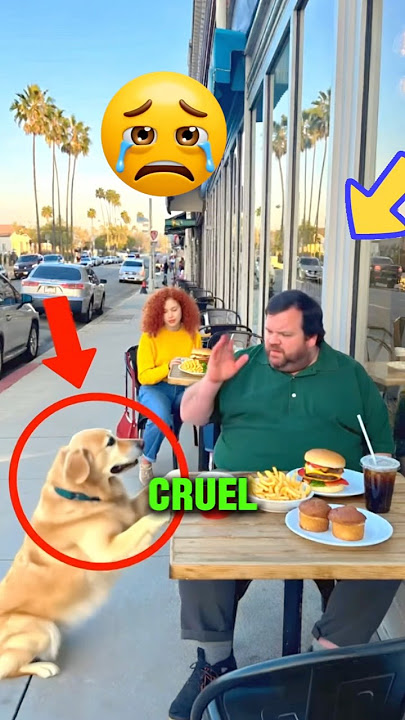 He Chased The Poor Dog Away, But Then Karma Hit Hard 😱❤️