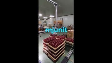 mjunit synchronous belt module truss stacking manipulator xyz axis gantry robot slide guideway load