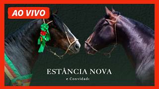 LEILÃO ESTÂNCIA NOVA & CONVIDADOS AO VIVO PROGRAMA CAVALOS TRANSMISSÃO DE LEILÕES DO CAVALO CRIOULO
