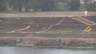 Concerns grow over tree clearing along American River for flood infrastructure plan