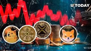 4 Altcoi̇nde, Sonsuz Boğa Patlamasi Xrp 20X, Ada 31X, Shi̇ba 14X, Doge 10Xli̇k Sezonluk Performans