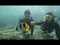 Discover scuba #StormRelief #RebuildTogether #HelpingHands #4k #asmr #shorts #aquarium #fun #gopro
