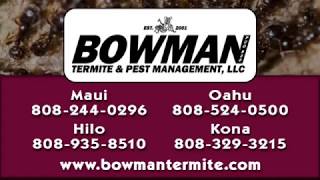 Realty Services | Hilo, HI - Bowman Termite & Pest Management