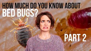 Interesting facts about bed bugs