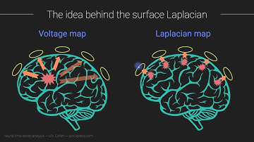 Surface Laplacian for connectivity analyses