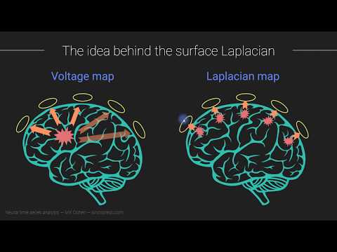 Surface Laplacian for connectivity analyses
