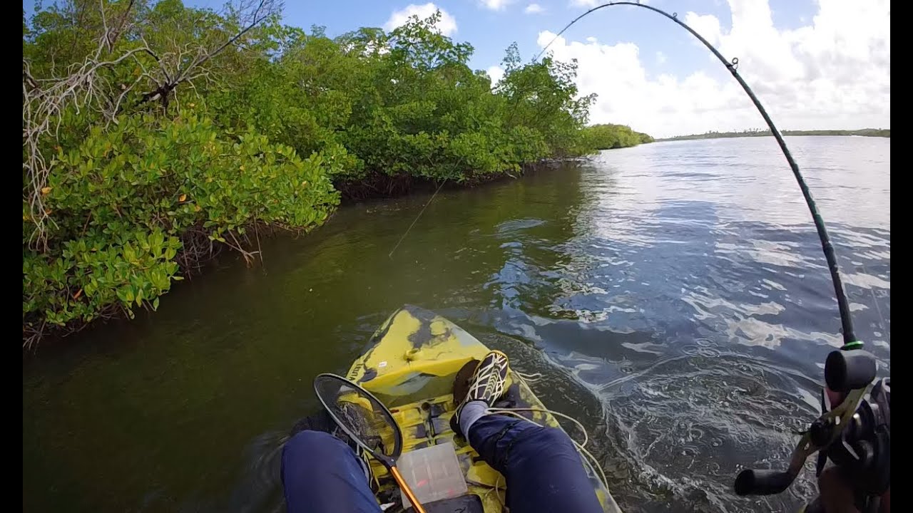 Vem pra o Mangue!! O Robalo ta aqui!!