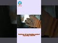 Complete soybean oil extraction plant | Soybean oil press machine | Soybean oil making line