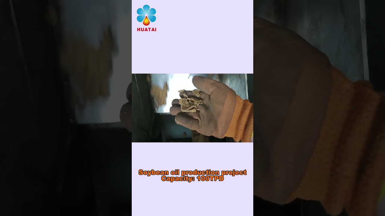 Complete soybean oil extraction plant | Soybean oil press machine | Soybean oil making line