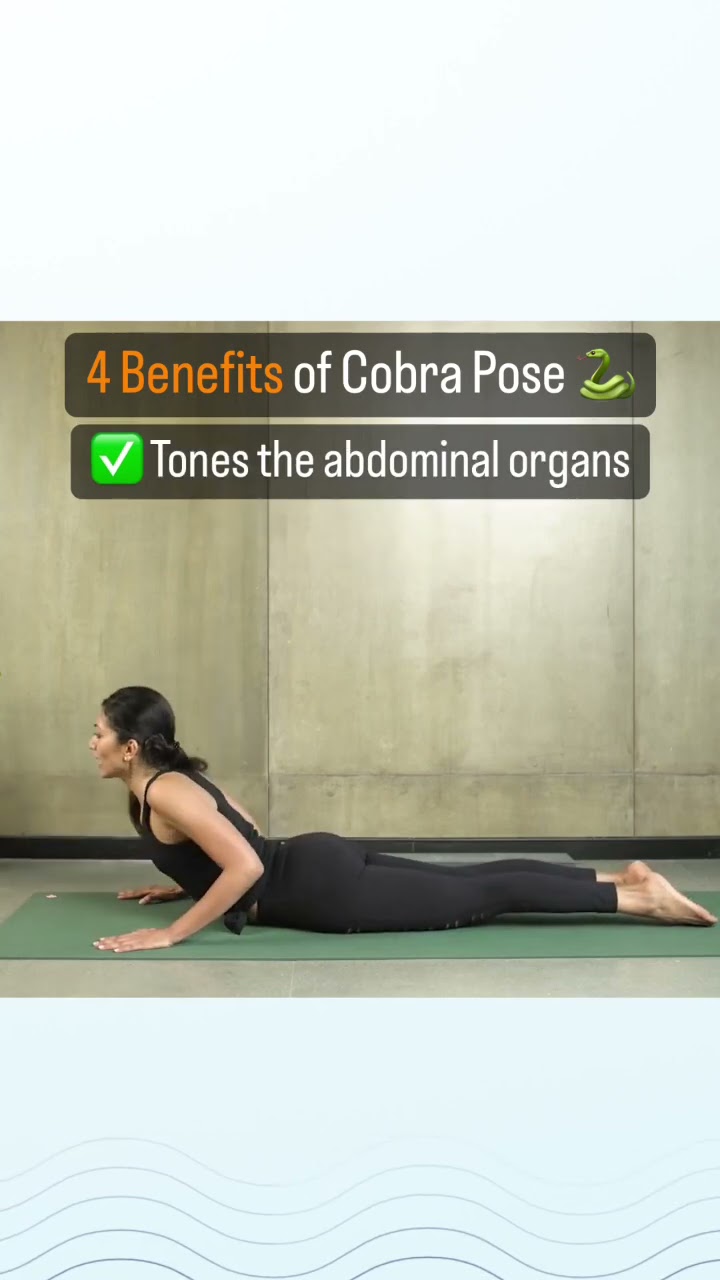 Half Cobra Pose - Exercise How-to - Skimble Workout Trainer