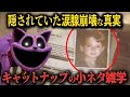 【FNF小ネタ】赤い煙に隠されているキャットナップの悲しい過去とは？キャットナップに関する小ネタ雑学【Friday Night Funkin】