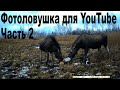 Фотоловушка для YouTube Часть 2