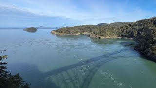 Tide Pools at Deception Pass State Park || Fidalgo Island, Washington || April