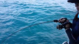 Bat fish landed!