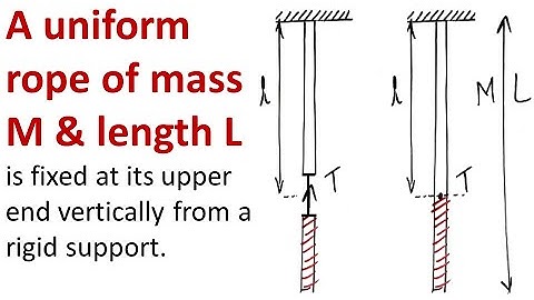 NEWTONS LAWS | A uniform rope of mass M and length L is fixed at its upper end vertically