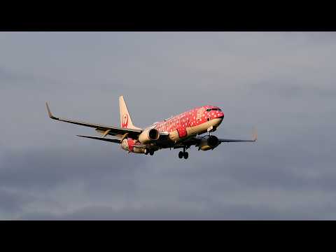 さくらジンベエの着陸 JTA Boeing 737-800 JA06RK - YouTube