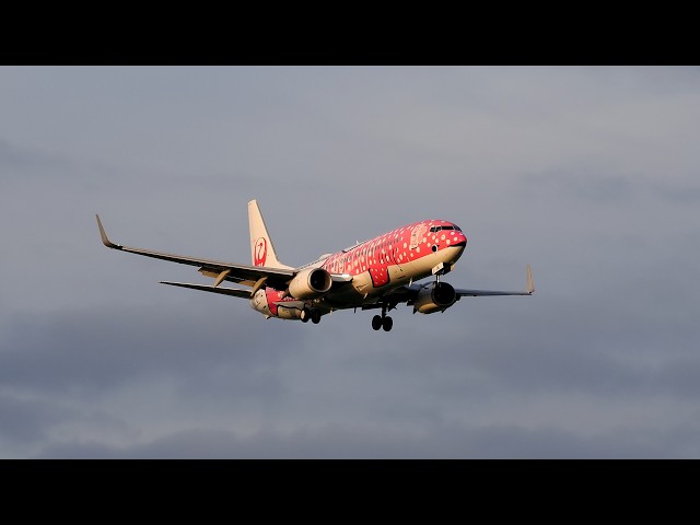さくらジンベエの着陸 JTA Boeing 737-800 JA06RK - YouTube