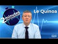 Le quinoa  2 minutes pour comprendre