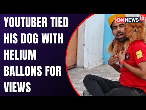 GauravZone Arrested | HV Mandava, Addl DCP South Delhi On Animal Cruelty & Charges Against Youtuber