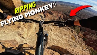 Flying Monkey - November 2025