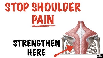 FIX SHOULDER PAIN! (STRENGTHEN THE LOWER TRAP)