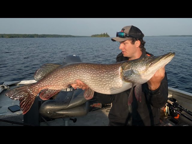 Top 5 Northern Pike Lures 