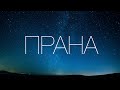 Прана. Аюрведическая психология.