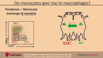 M-BoCA Symposium, October 8th, 2024 - Slava Epelman