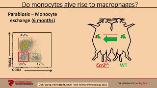M-BoCA Symposium, October 8th, 2024 - Slava Epelman