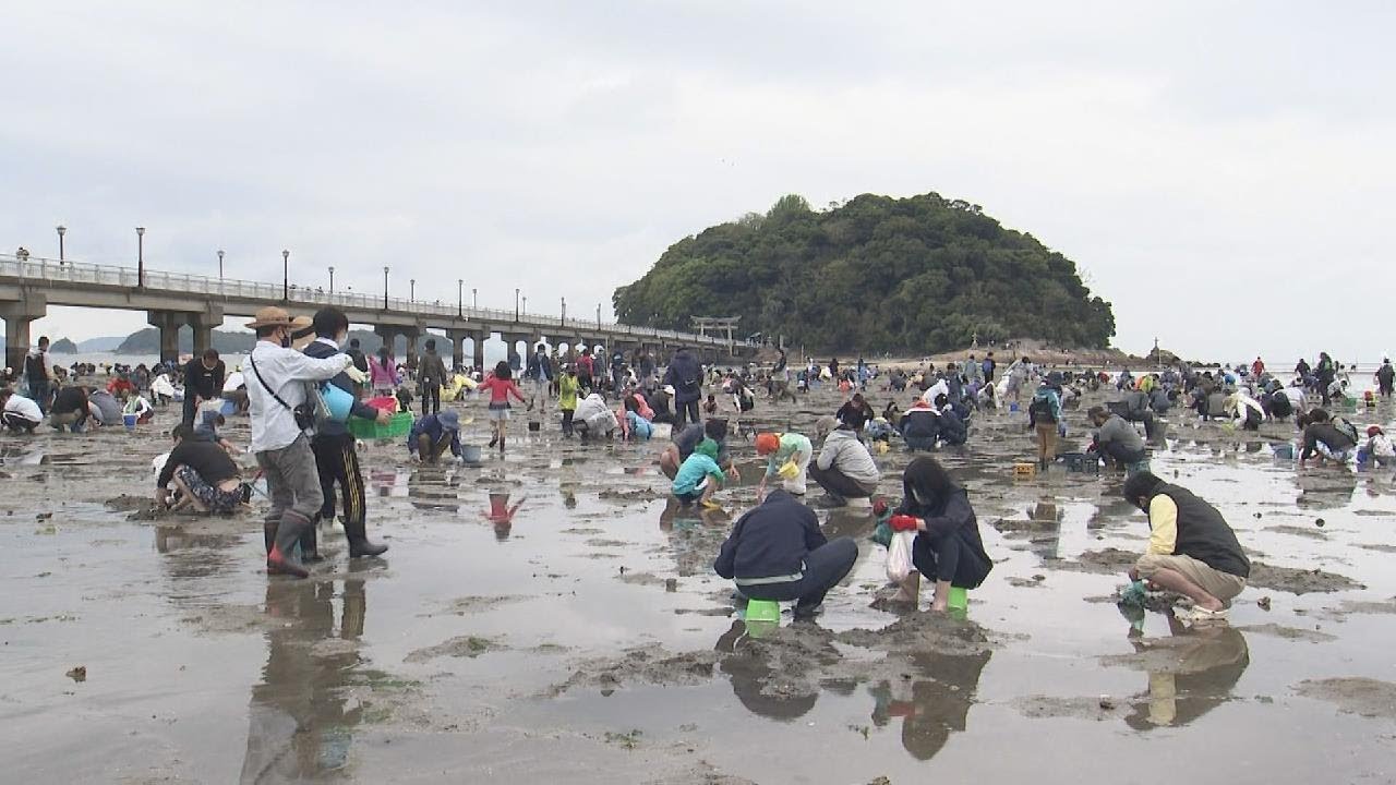 竹島海岸で潮干狩り 親子連れらで賑わう 愛知・蒲郡市 - YouTube