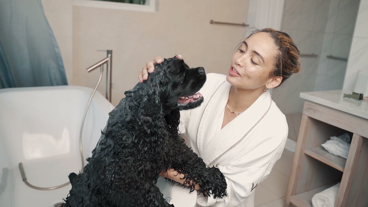 Hydra Luxury Care Promo - Dog Shampoo, Conditioner & Cologne