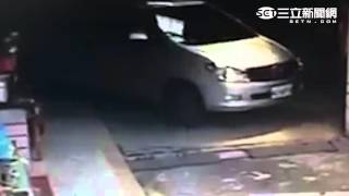 可愛小黑狗遭汽車輾斃　車主罔顧人性｜三立新聞網SETN.com