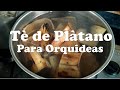 Tè de plàtano / Abono orgànico para Orquideas