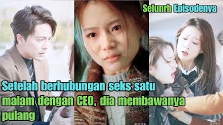 Setelah berhubungan seks satu malam dengan CEO, dia membawanya pulang