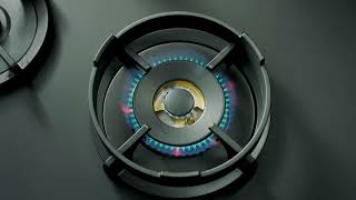 Wok Ring with PITT cooking systems