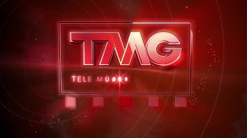 FilmRise/Tele Munchen Gruppe/CTV Original Programming (2018/2012)