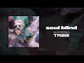 Soul blind  tribe official audio