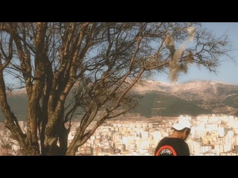 Tuğcan - Hayal Dünyam (Music Video)