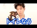 猿と過ごしてる独身男のモーニングルーティーン