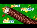 🔴(13) 👀LIVE STREAM ✅ WORMS ZONE IO🐍SNAKE GAME 🇮🇳