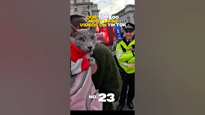 Video 11163151: pet russian blue cat, russianbluecats cat, russianbluecats catlover, cats love catlover