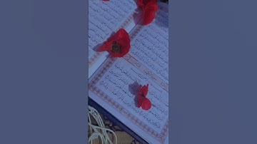 ﴿ إِذْ أَوَى الْفِتْيَةُ إِلَى الْكَهْفِ}حالات واتس اب//دينية//القرآن الكريم 🍓📿