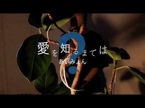 【cover】愛を知るまでは／あいみょん　日本テレビドラマ『コントが始まる』主題歌
