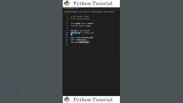 Remove Image Backgrounds with Python | Python Tutorial