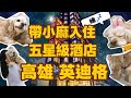 高雄五星hotel可以帶狗狗？！體驗如何？鴨肉珍真的大推！太好吃啦！