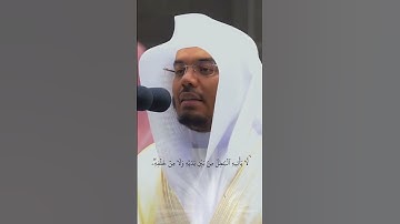 ان الذين كفروا سورة فصلت ياسر الدوسري  #المصحف #سورة #quran #yasseraldossary